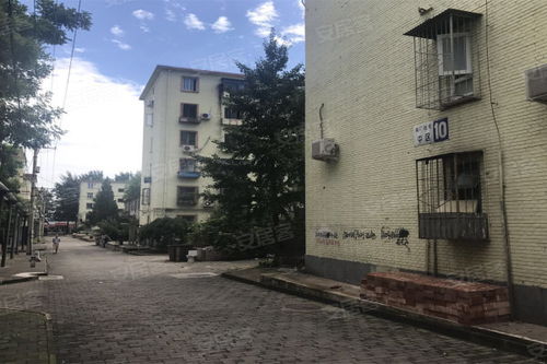 南廠住宅 中區 優點 不足,南廠住宅 中區 怎么樣,南廠住宅 中區 周邊房產中介經紀人評價