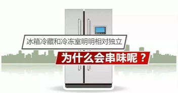 如何解決冰箱串味困擾？中國家用電器研究院專家有話說